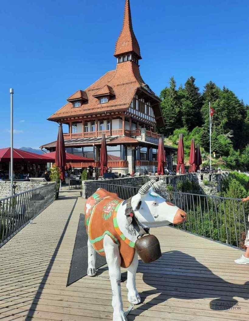 Harder Kulm