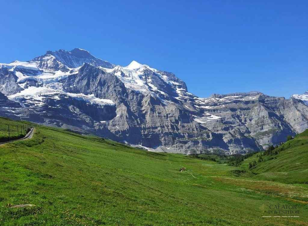 Calatorie montana cu trenul – Jungfraujoch