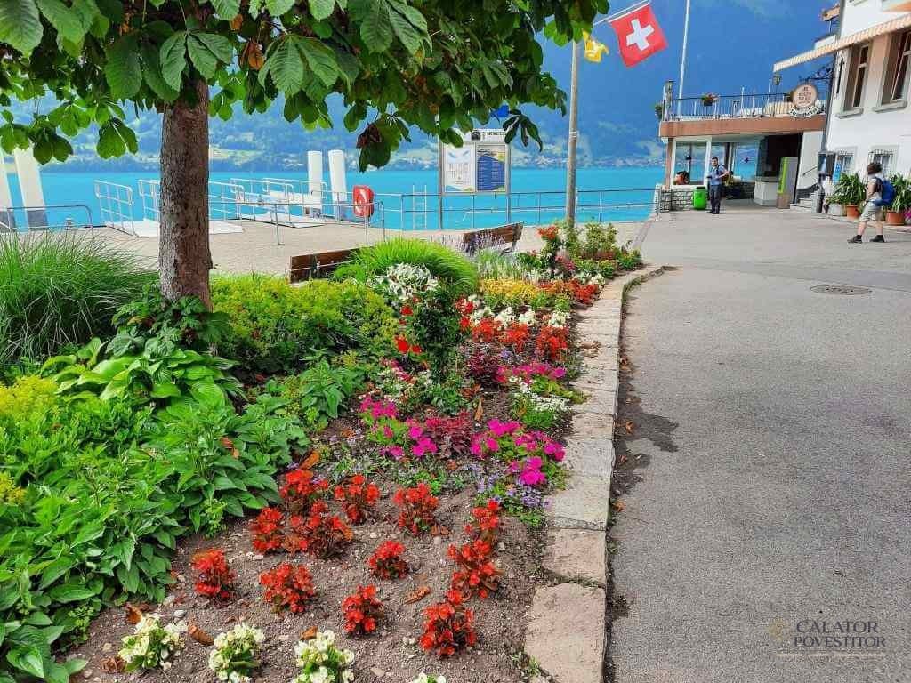 Cele mai frumoase 5 sate pe care trebuie sa le vizitezi in regiunea Jungfrau-Elvetia