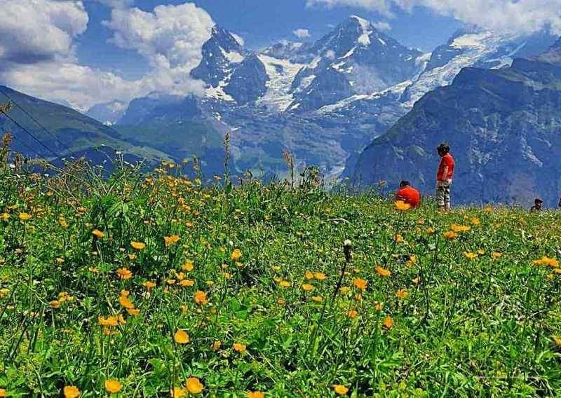 Elvetia - sfaturi de calatorie in regiunea Jungfrau