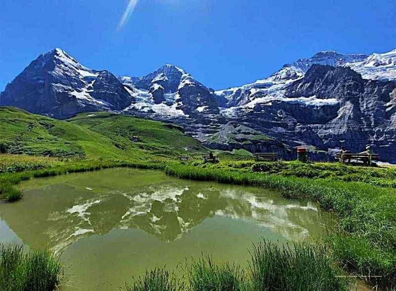 Elvetia - sfaturi de calatorie in regiunea Jungfrau