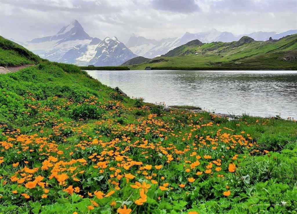 Elvetia - top 5 locatii de vizitat in Jungfrau
