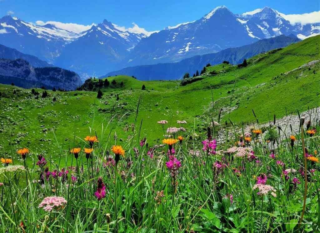 Interlaken - 5 destinatii incitante pe care sa le vizitezi in vacanta