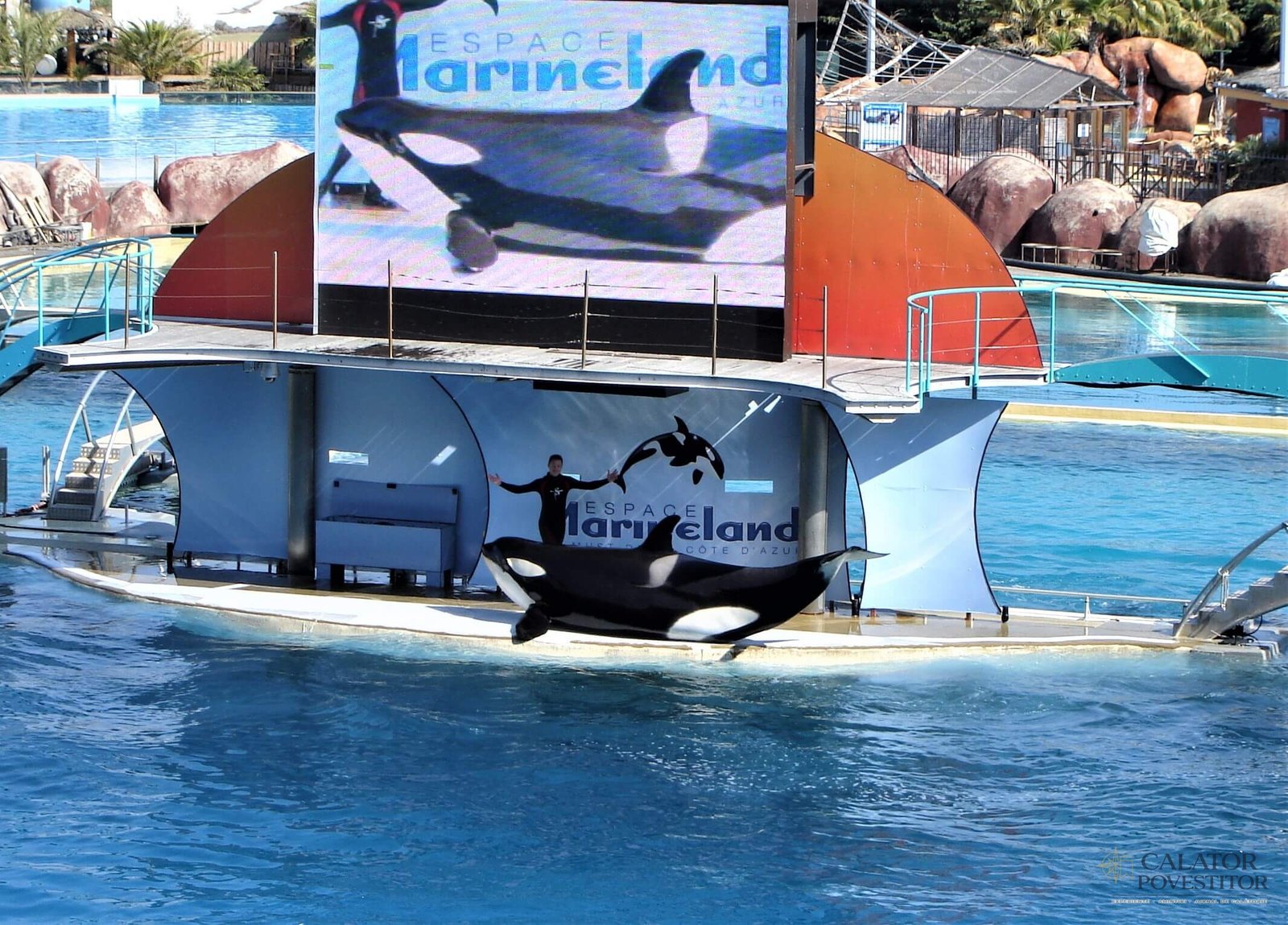 Parcul acvatic Marineland – un show unic in Europa !