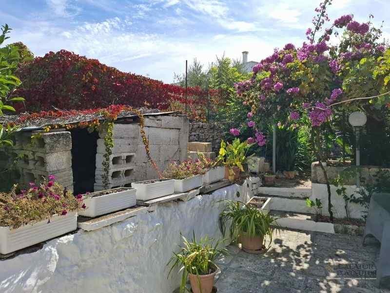 ce sa vizitezi in puglia-alberobello