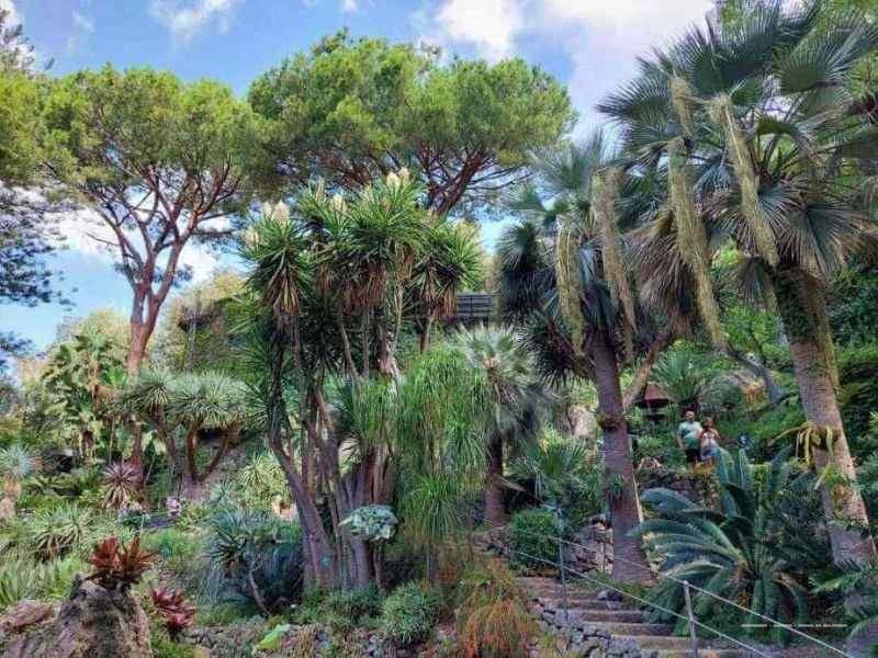Ghid complet insula Ischia - Italia
