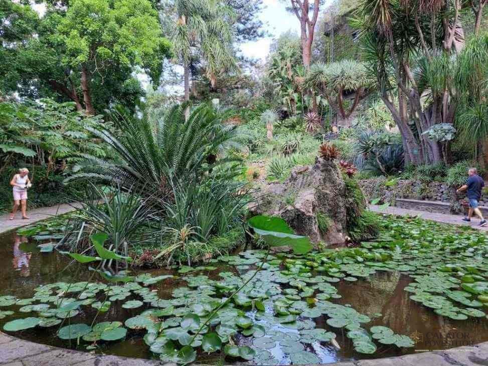 Gradina botanica,Giardini La Mortella