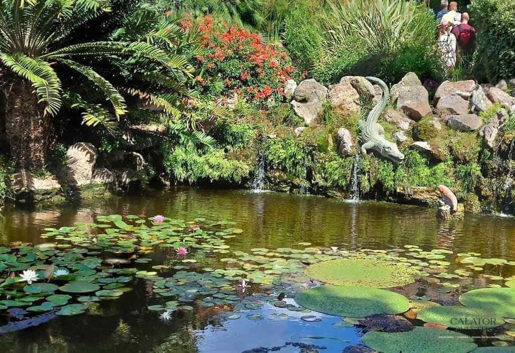 Grădina botanică,Giardini La Mortella