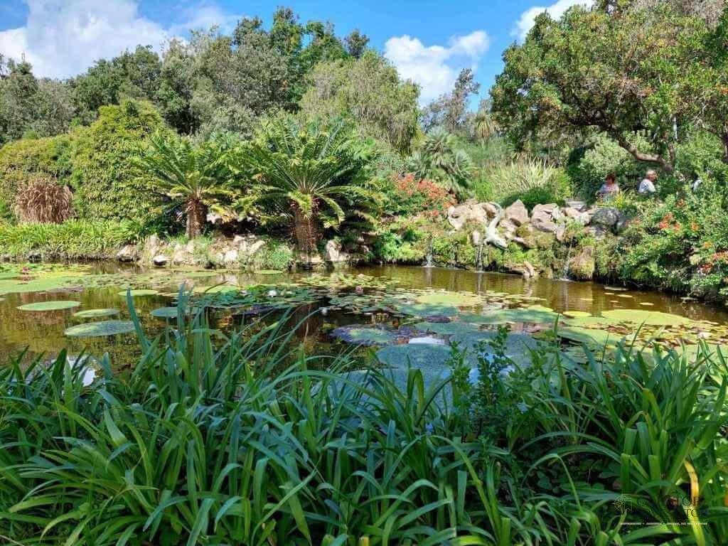 Grădina botanică,Giardini La Mortella