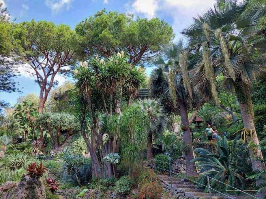 Top 5 gradini de vis. Oaze de frumusete in Italia.