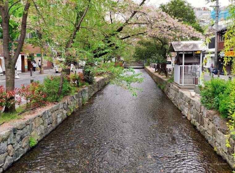 3 obiective turistice de vizitat in Kyoto – Japonia — 4