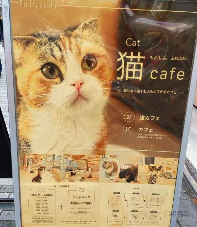 3 obiective turistice de vizitat in Kyoto – Japonia — 38