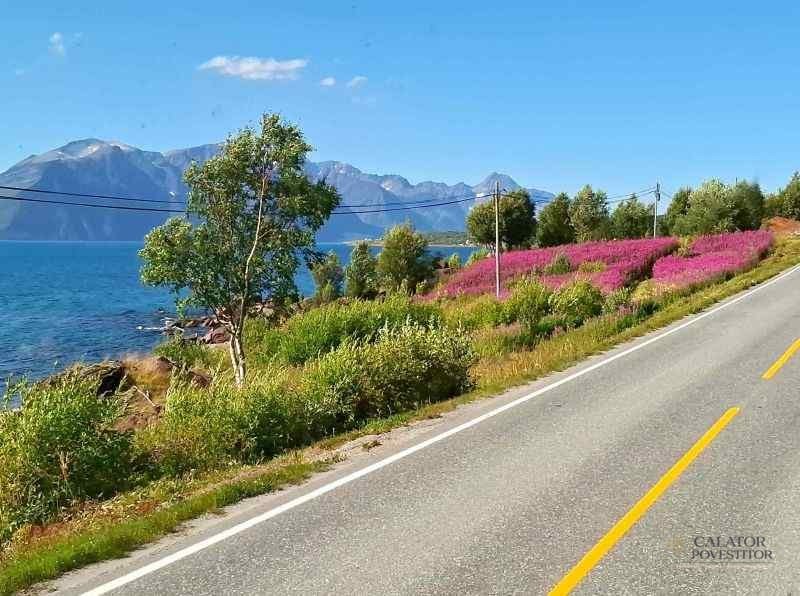 Norvegia – atractii turistice la paralela 70 — 11