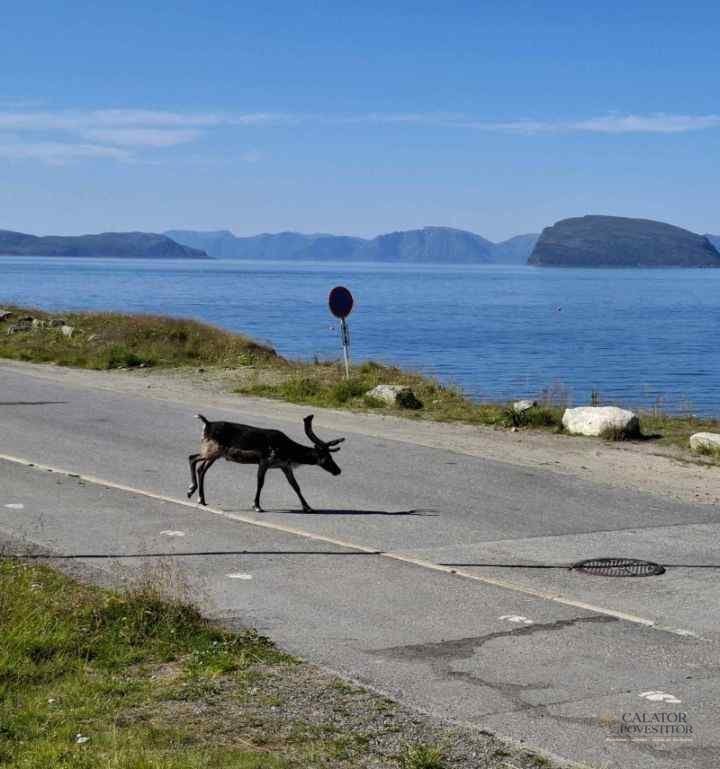 Norvegia – atractii turistice la paralela 70 — 26