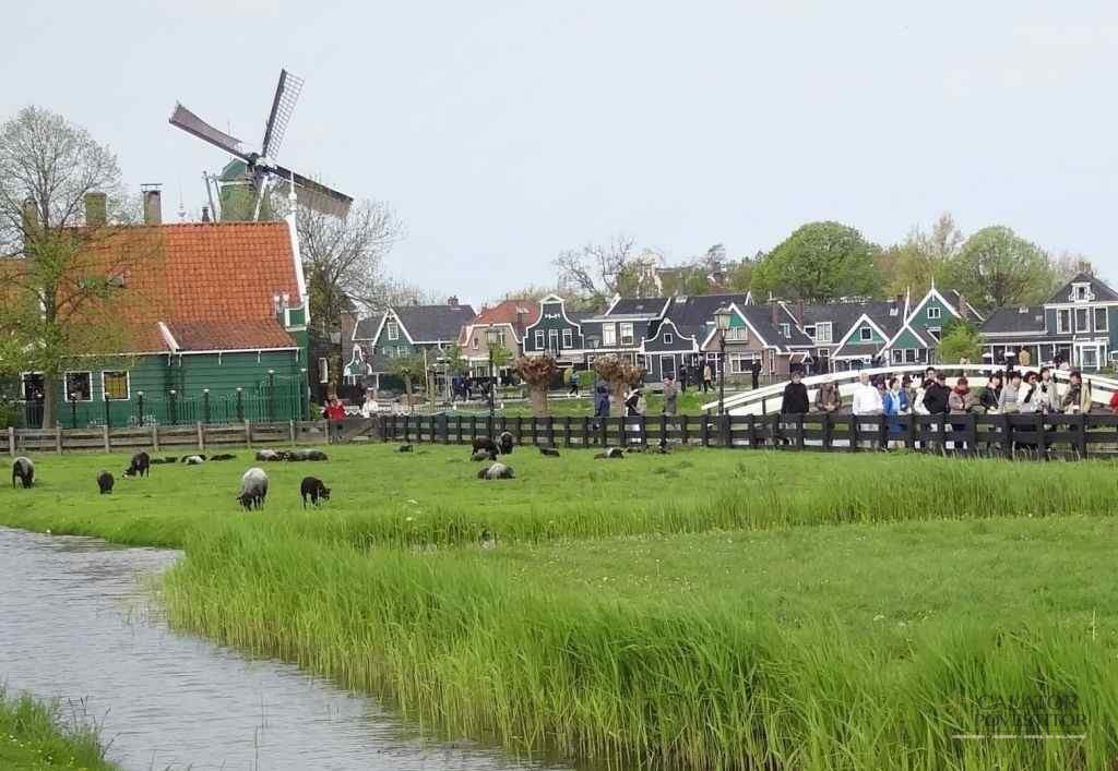 Ce sa vezi pe langa Amsterdam — 29