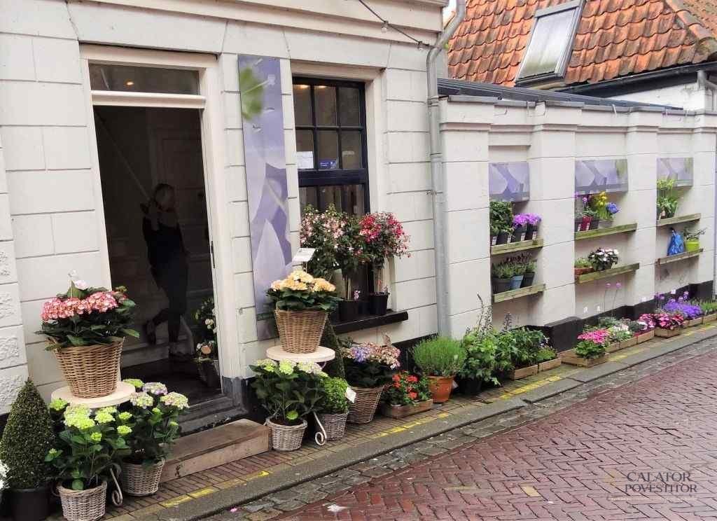 Ce sa vezi pe langa Amsterdam — 15