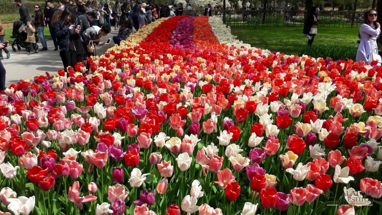Keukenhof – cea mai mare expozitie florala