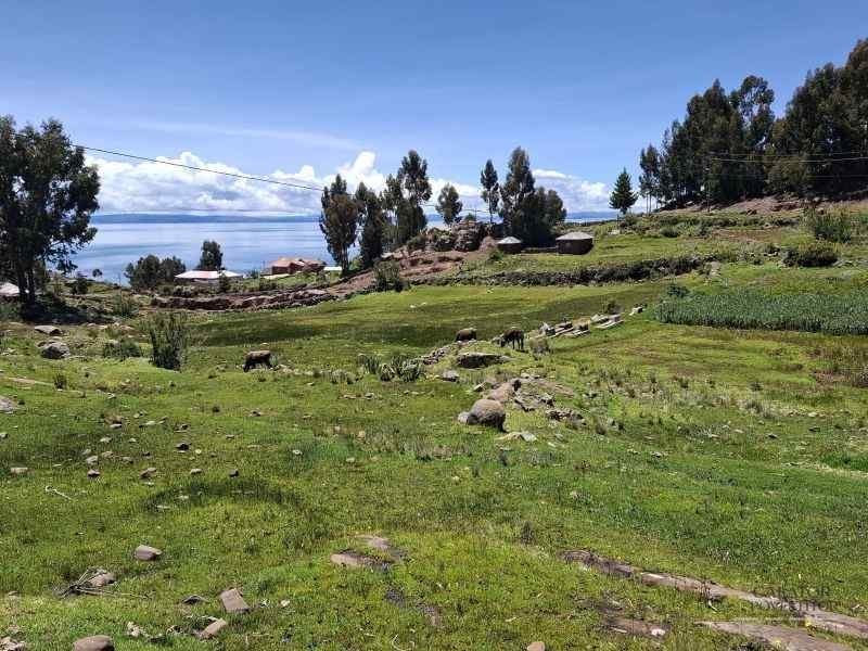 lacul titicaca peru