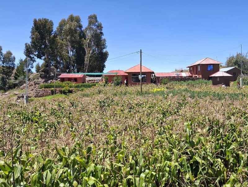 lacul titicaca peru