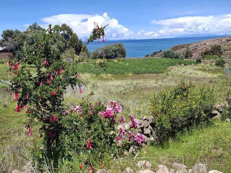 lacul titicaca peru