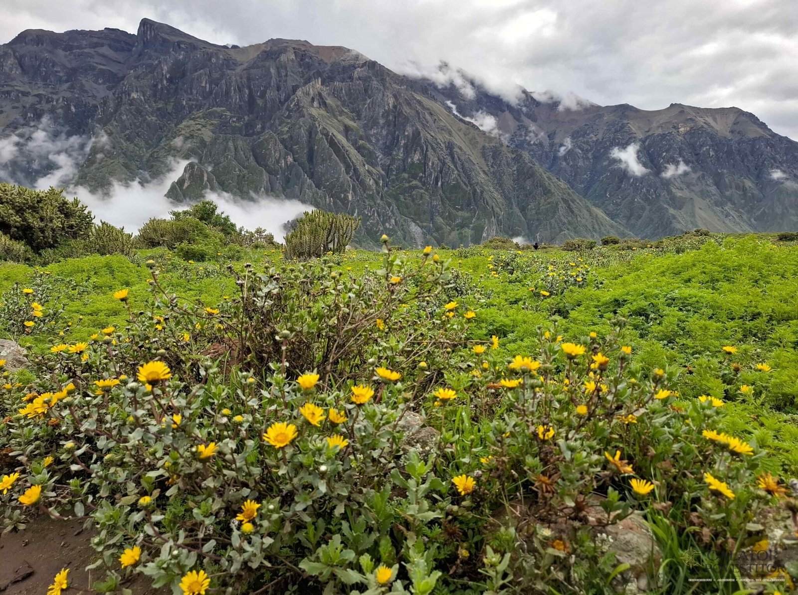 Obiective turistice de top din Peru