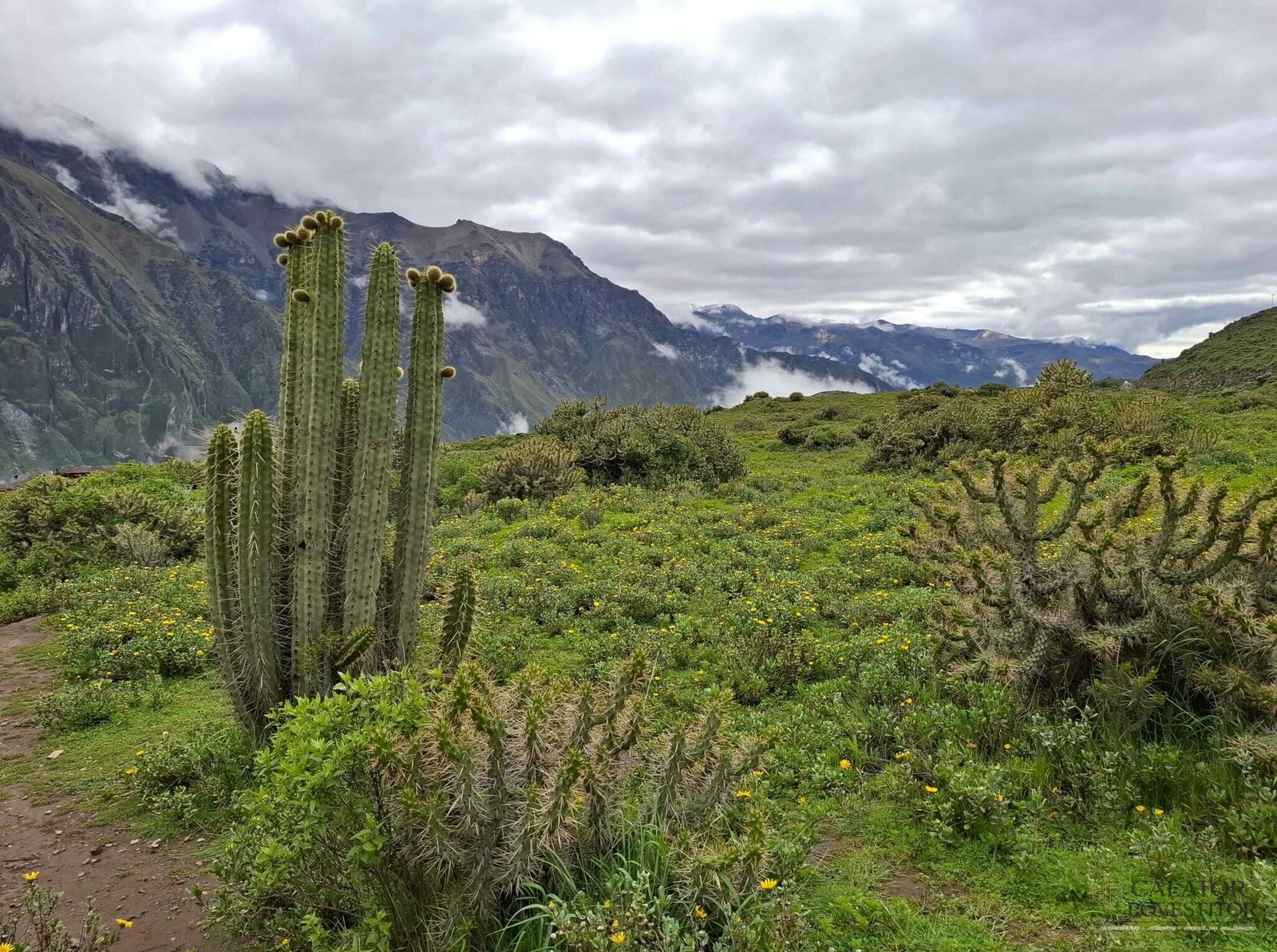 Obiective turistice de top din Peru