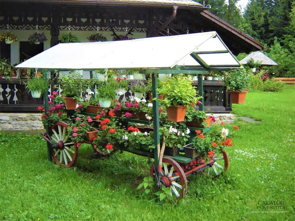 Unde mancam in Bucovina ?