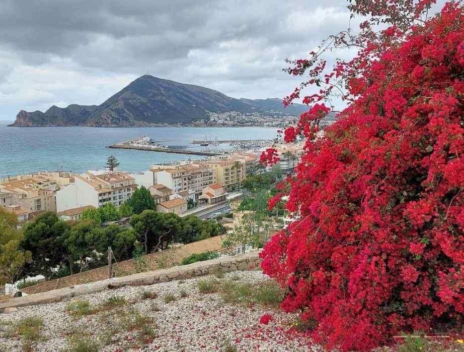 Altea si Villajoyosa - 2 destinații superbe pe Costa Blanca