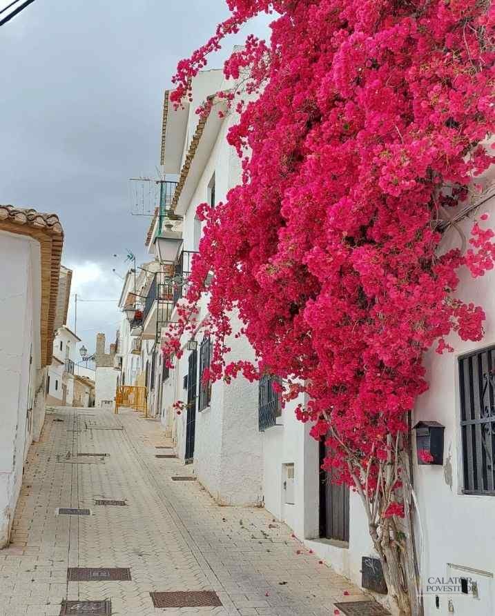 Altea si Villajoyosa - 2 destinații superbe pe Costa Blanca