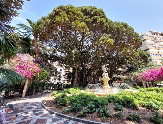Atractii si activitati pe care sa nu le ratezi in Alicante si Elche