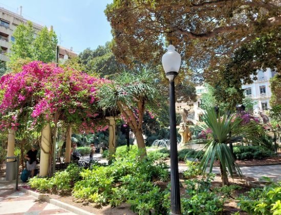 Alicante