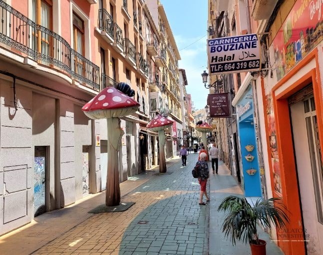 Atractii si activitati pe care sa nu le ratezi in Alicante si Elche