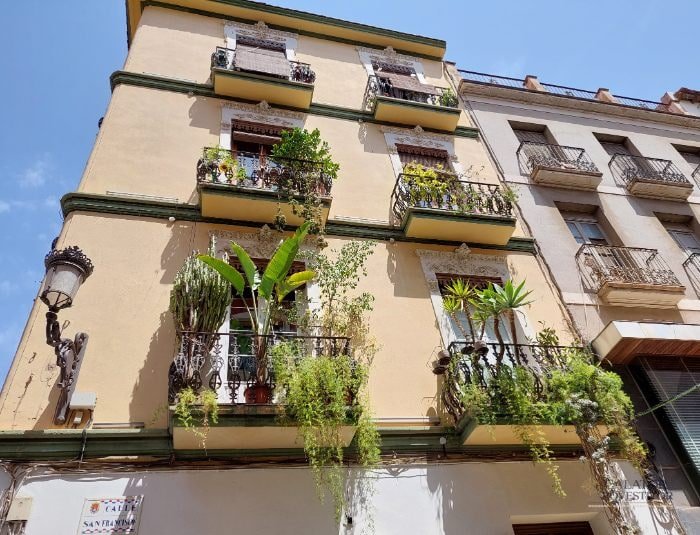 Alicante