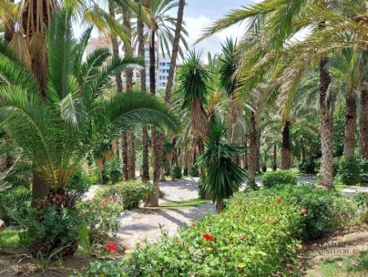 Atractii si activitati pe care sa nu le ratezi in Alicante si Elche