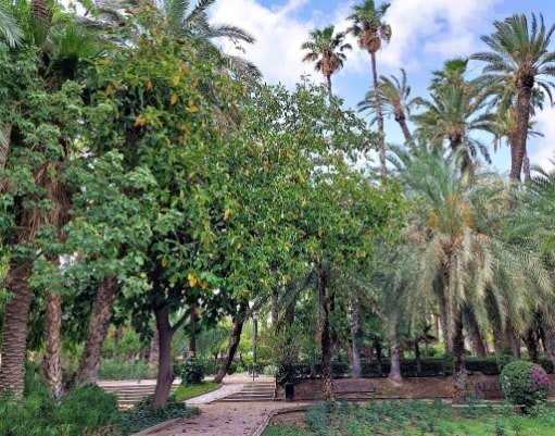 Atractii si activitati pe care sa nu le ratezi in Alicante si Elche