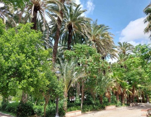 Atractii si activitati pe care sa nu le ratezi in Alicante si Elche