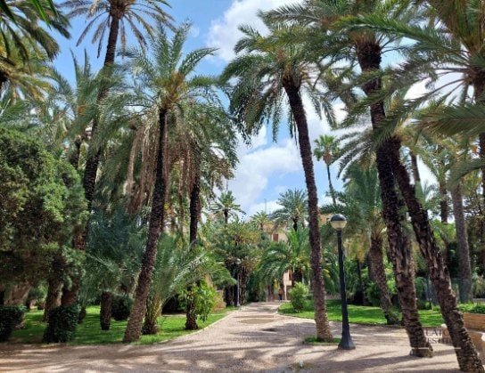 Atractii si activitati pe care sa nu le ratezi in Alicante si Elche