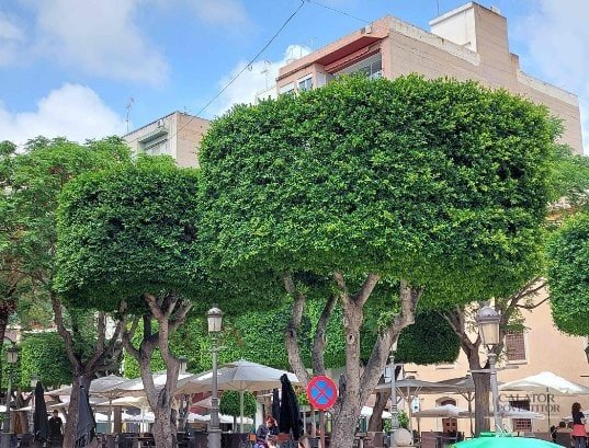 Atractii si activitati pe care sa nu le ratezi in Alicante si Elche